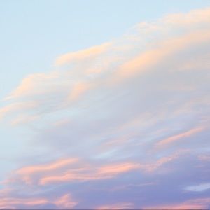 Meet your Posher, Gracie